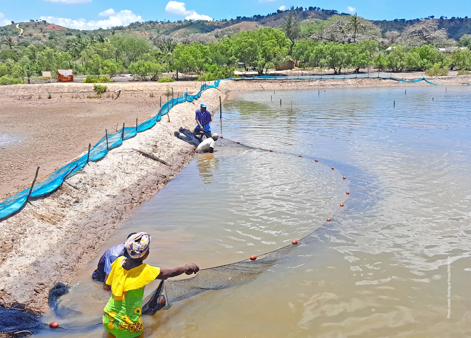 Gender equality and social inclusion (GESI) assessment-Zambia, Nigeria and Kenya